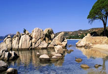 九游-关于重返赛场首场状态出色，巴黎圣日耳曼观众沸腾！，Faker重返赛场引发球迷热议的信息